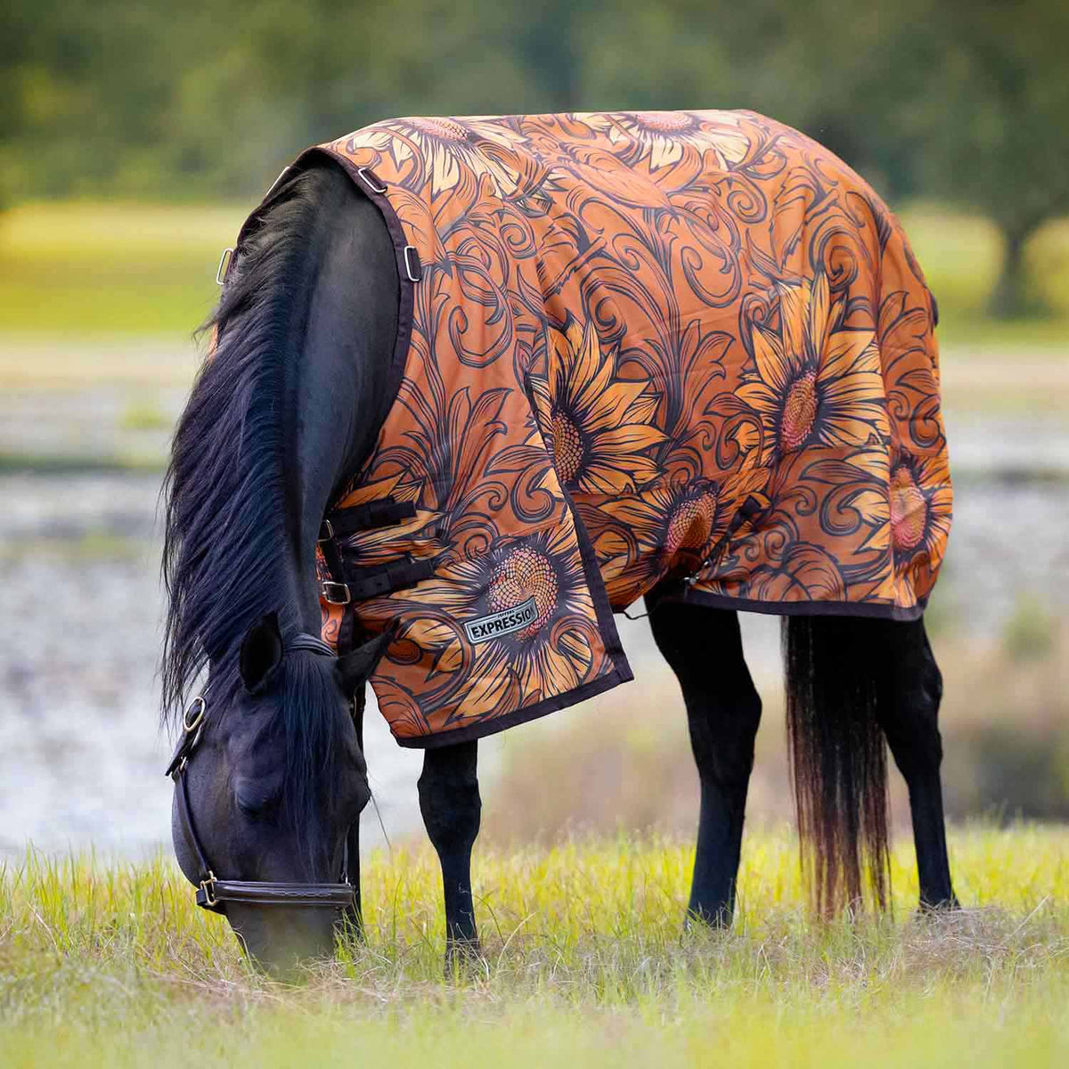 Jeffers Expression 1200 Denier Standard Neck Turnout Horse Blanket, 240 Gram