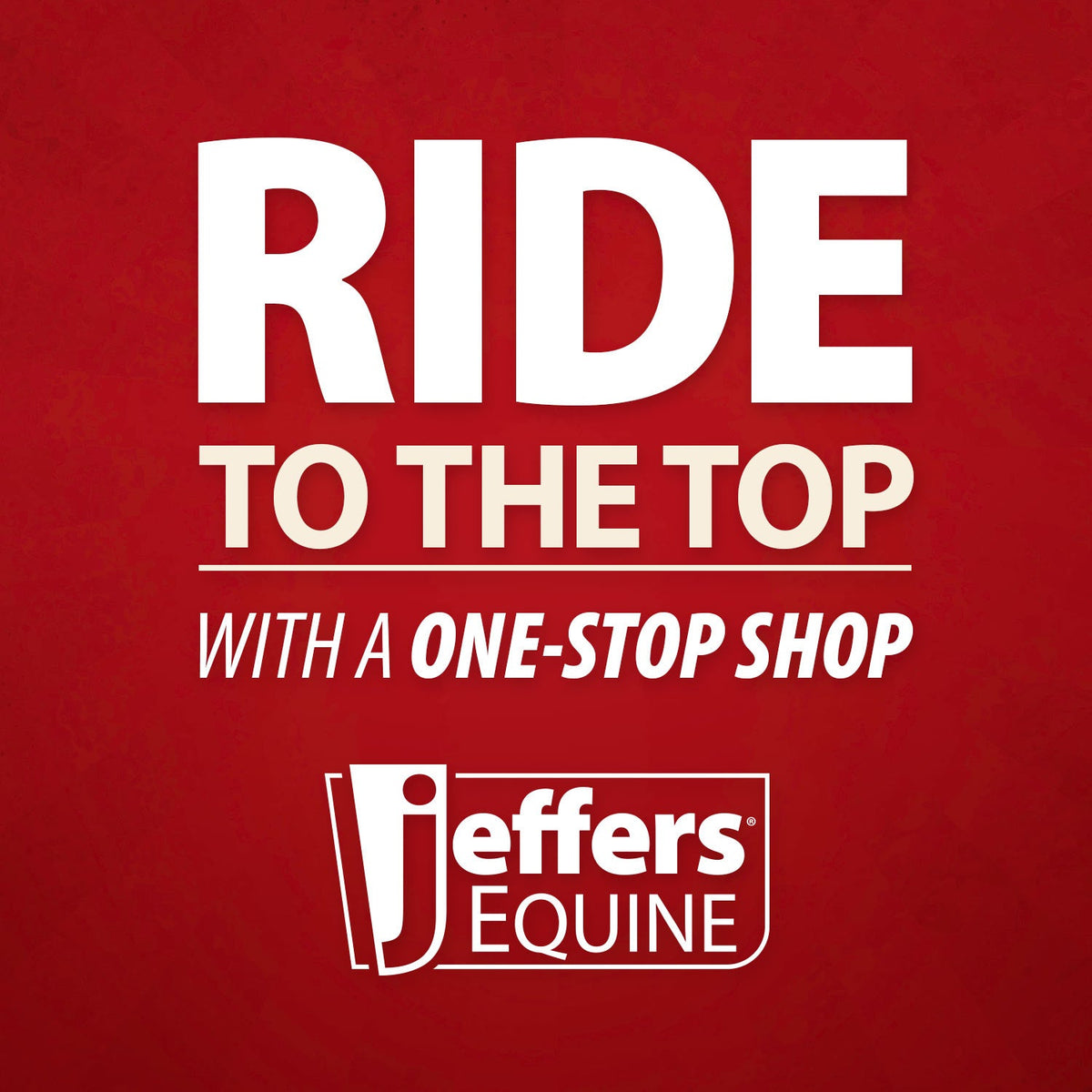 Jeffers Expression Neon Protective Boots for Horses
