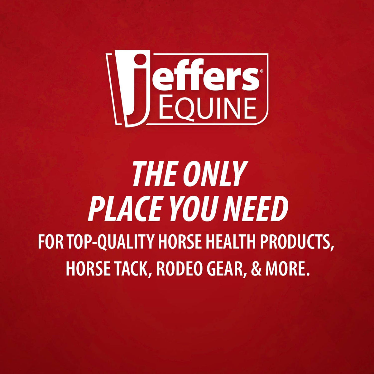Jeffers Equine Glistening Gold All-Natural Tearless Horse Shampoo with Pure Hawaiian Coconut Oil