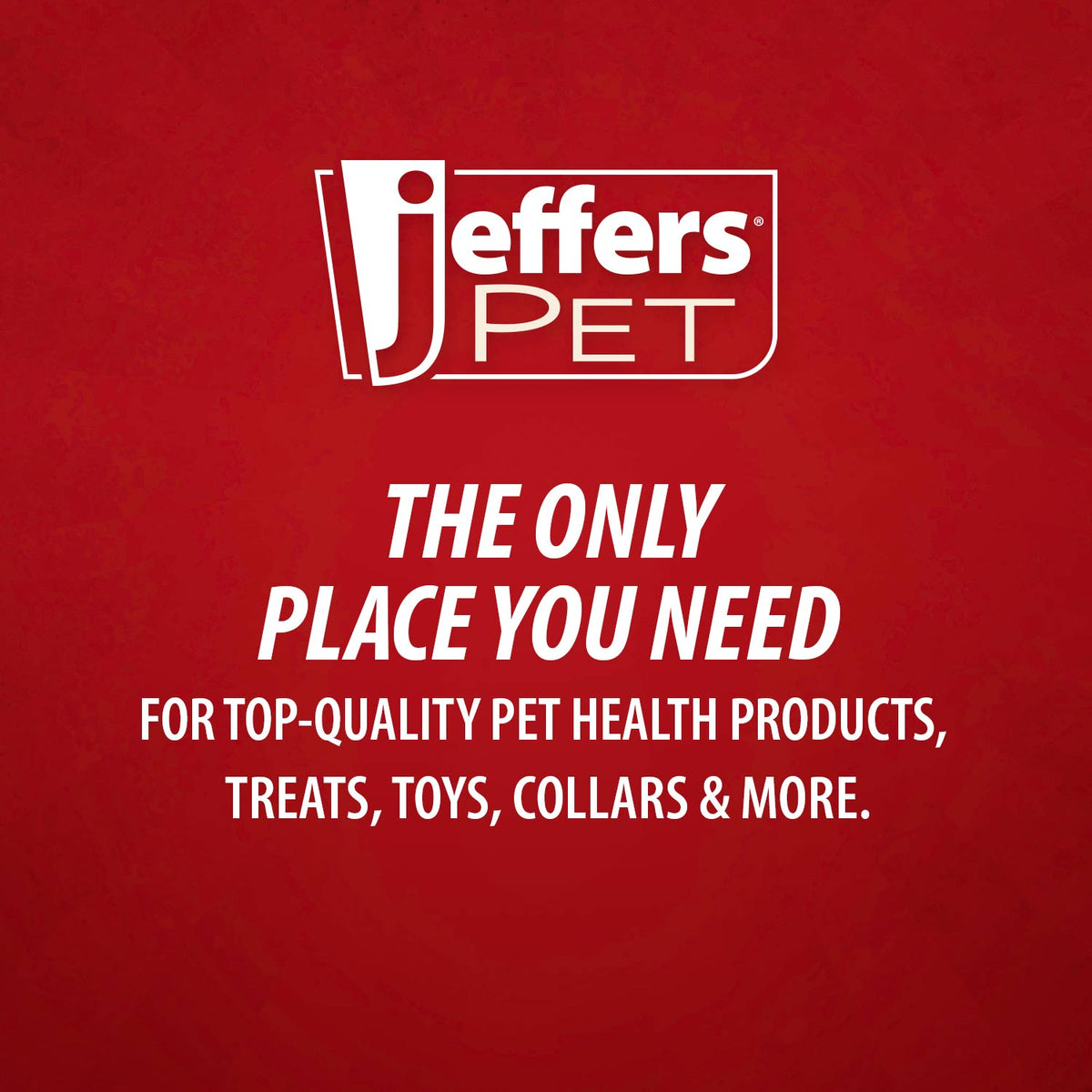 Jeffers Solid Adjustable Nylon Cat Collars