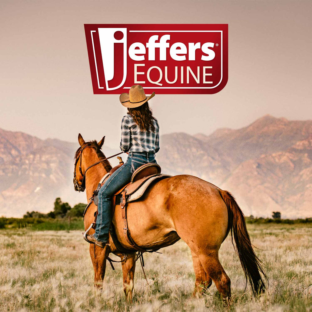 Jeffers Expression Horse Grooming Tote