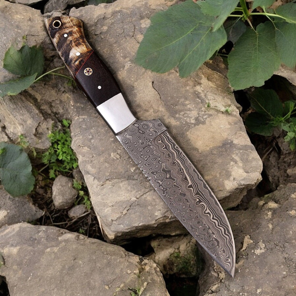 Handmade Damascus Hunting Knife | Sheep Horn & Rosewood