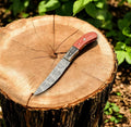 Handmade Damascus Hunting Knife with Exotic Wood Handle
