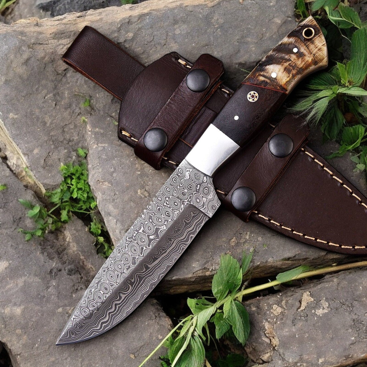 Handmade Damascus Hunting Knife | Sheep Horn & Rosewood